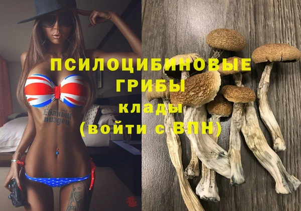MESCALINE Нефтекумск