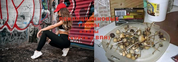 соль ск Навашино