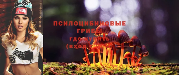 MESCALINE Надым