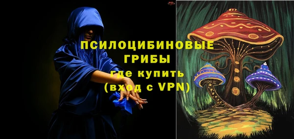 мдпв Нея