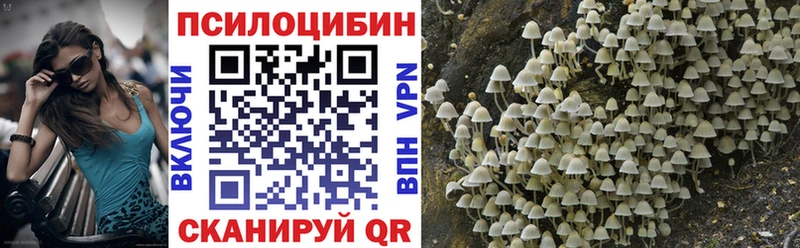 Галлюциногенные грибы ЛСД darknet какой сайт Нестеров