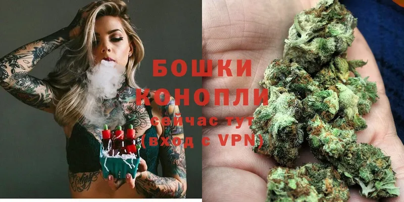 Каннабис White Widow  МЕГА ссылки  Нестеров 