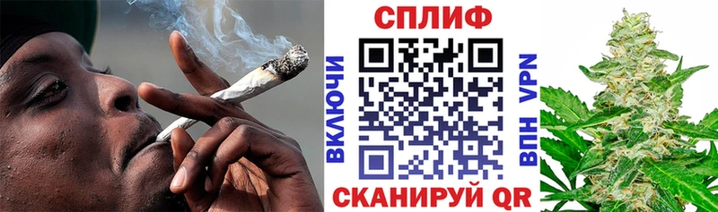 Каннабис планчик  Нестеров 